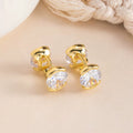 French Zircon Tassel Drop Earrings | 925 Silver Needle | Old Money Feminine Light Luxury | Versatile High-End Women